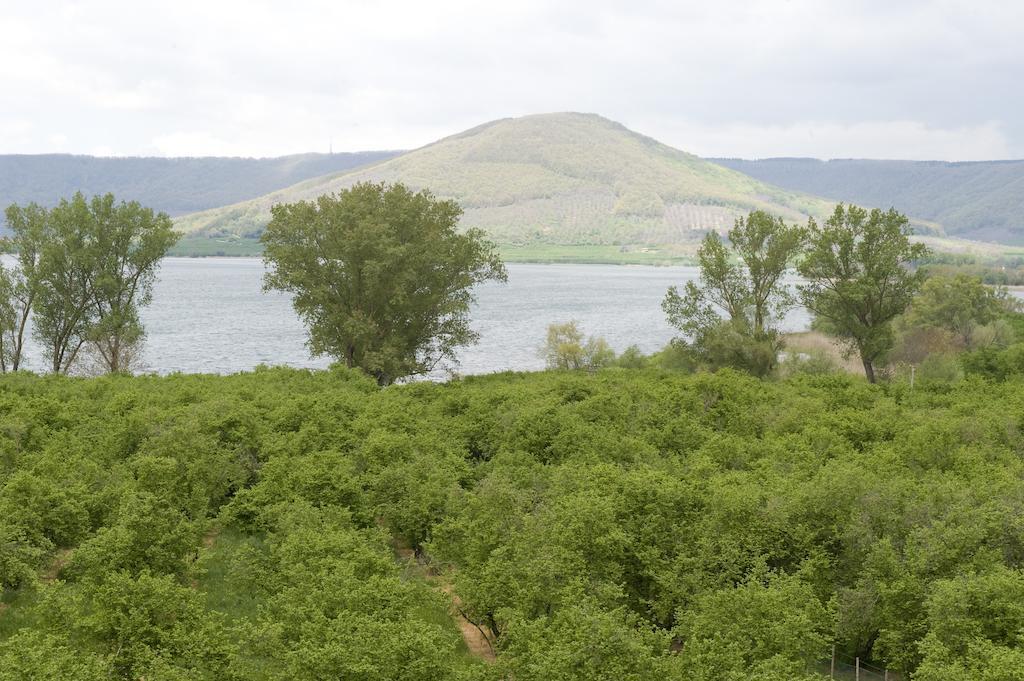 La Finestra Sul Lago Ronciglione  Quarto foto
