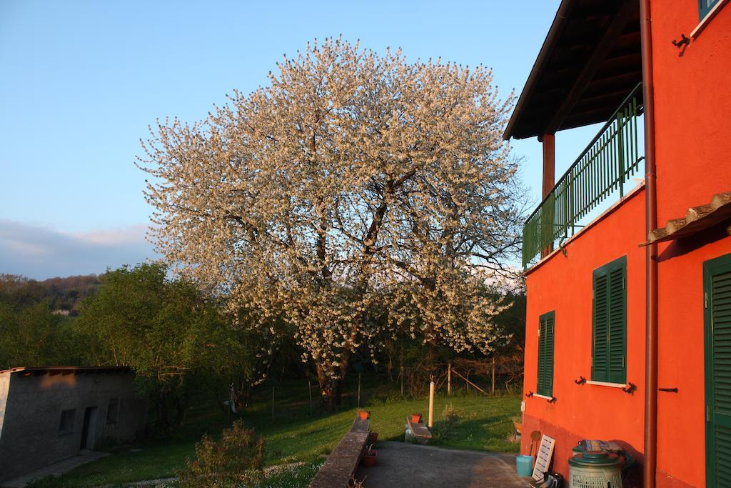 La Finestra Sul Lago Ronciglione  Exterior foto