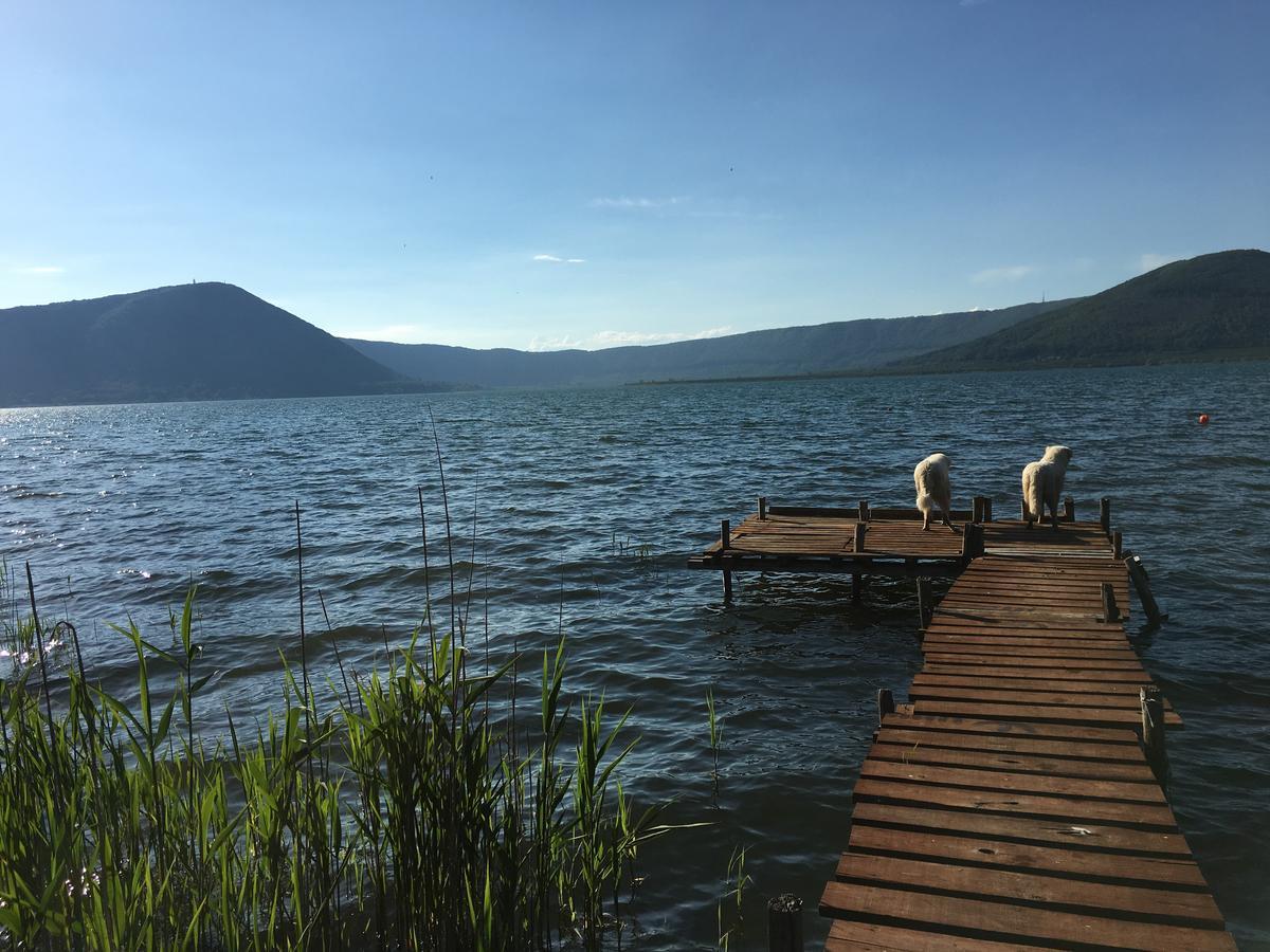 La Finestra Sul Lago Ronciglione  Exterior foto